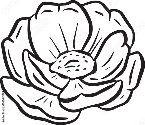 Simple floral flower heads wildflower outline clipart vector illustration