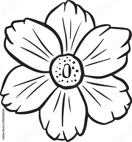 Simple floral flower heads wildflower outline clipart vector illustration