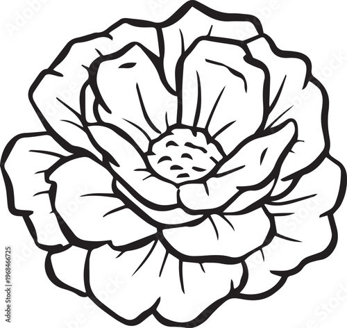 Simple floral flower heads wildflower outline clipart vector illustration