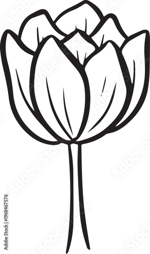 Simple floral flower heads wildflower outline clipart vector illustration