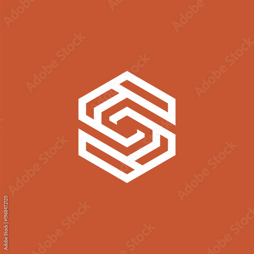 Принти на полотні Abstract geometric S letter logo design incorporated within a modern hexagonal s