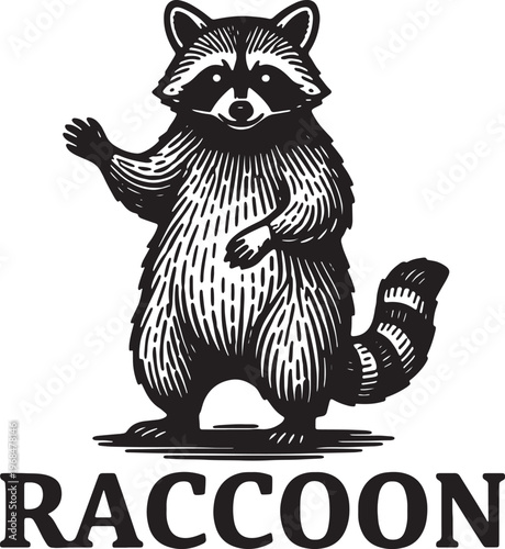 Raccoon standing on hind legs waving one paw