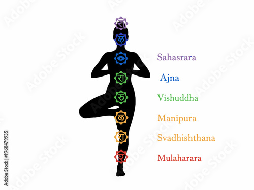Seven Chakras and Yoga Tree Pose Silhouette on White Background