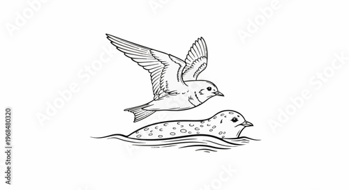 A bird flies above a spotted seal swimming in the water