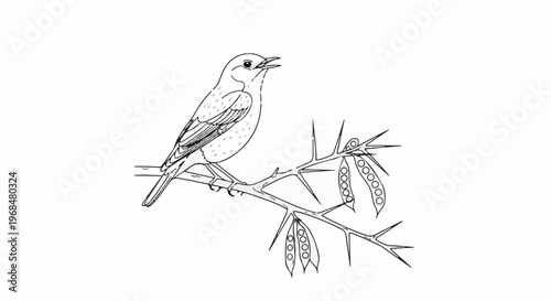 A bird perches on a thorny branch with pea pods