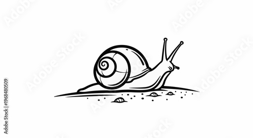 A black and white drawing of a snail moving across textured ground