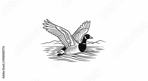 A black and white illustration of a goose with wings spread, gliding on water