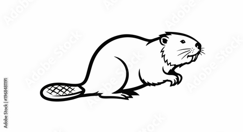 A black and white line drawing of a beaver facing right