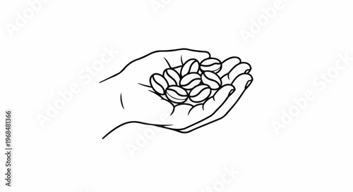 A line drawing of a hand holding a cluster of coffee beans