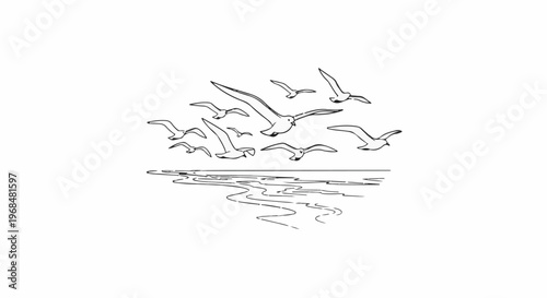 A flock of seagulls soar above a rippling body of water