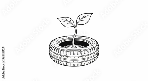 A plant sprouts from a recycled tire, symbolizing growth and renewal