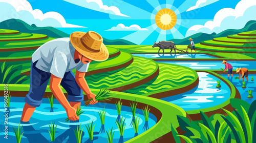 Man Planting Rice in Field.