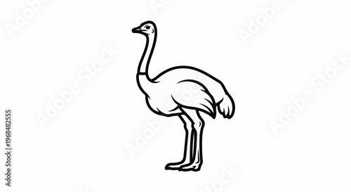 A simple line drawing of a standing ostrich, facing left