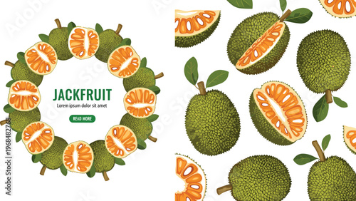 Jackfruit Vector Pattern and Frame Design Featuring Whole and Cut Jackfruit with Leaves Tropical Exotic Fruit Background and Circular Composition