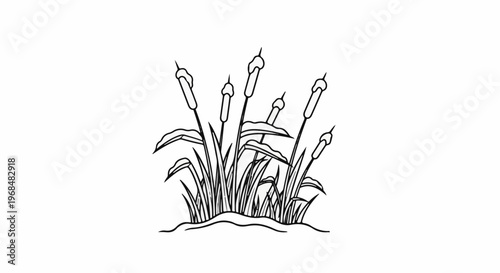 A black and white line drawing of cattails and reeds growing from a mound