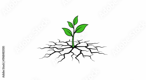 A green sprout emerges from dry, cracked earth
