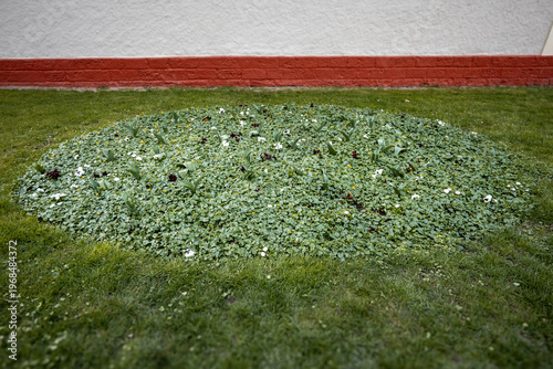 Blumenbeet vor einer Mauer