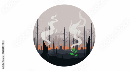 A small green sprout emerges from a scorched forest floor with smoke