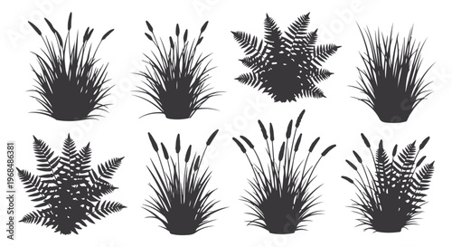Diverse collection of vector grass, reed, and fern plant silhouette illustrations.