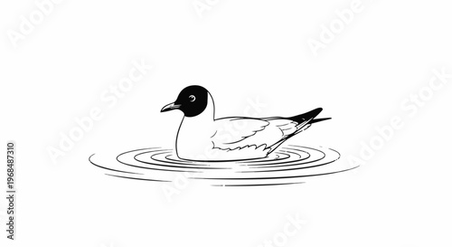 A black-headed bird floats on rippling water, depicted in a simple line drawing