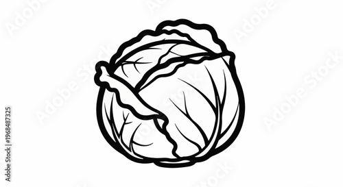 A bold black and white outline drawing of a round cabbage with ruffled leaves