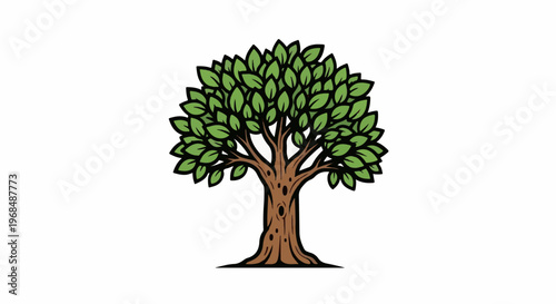 A cartoon-style illustration of a leafy deciduous tree with a thick trunk