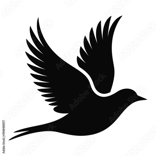 A striking black bird in flight wings outstretched a minimalist graphic silhouette
