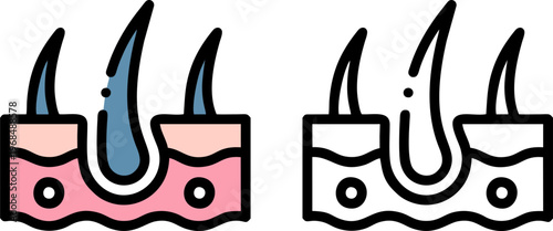 Cross Section of Human Skin with Healthy Hair Follicles