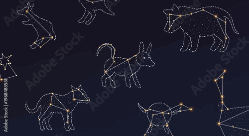 Animal Constellations in the Starry Night Sky Illustration