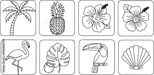 A collection of line drawings illustrating different types of leaves Vector