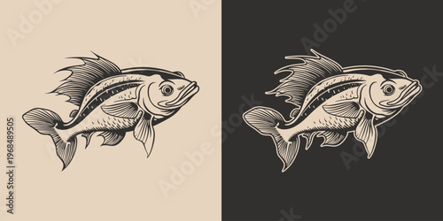 Vintage retro engraving woodcut style sketch draw paint of catfish fish. Monochrome style