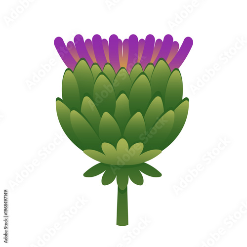Natural Plant Artichoke Flower Cartoon Vector Illustration