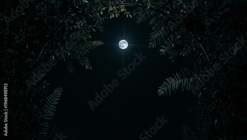 Ethereal Full Moon Illuminates Dark Night Sky Surrounded by Foliage