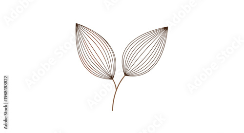 Two delicate brown leaves with fine linear patterns extend from a single stem in a graceful and minimalist botanical study.