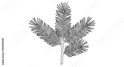 Detailed black and white sketch of a pine tree branch with needles captures the essence of winter forest greenery.