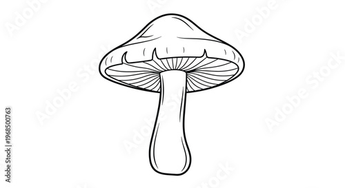 Simple black outline of a mushroom with gills visible under the cap provides a clean and minimalist graphic for nature and forest illustrations.