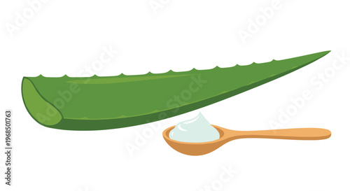 A cartoon whole aloe vera leaf is presented alongside a wooden spoon holding white cream on a white background.