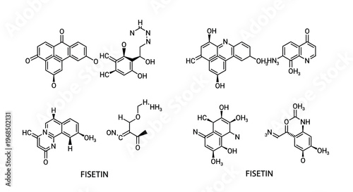 Complex chemical structures depicted in a detailed scientific illustration silhouette