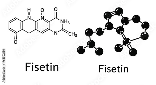 Chemical structures of fisetin displayed as diagrams a dark silhouette