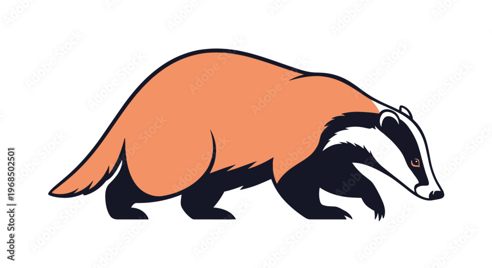 Obraz premium Illustration of a badger walking forward in a profile view featuring its characteristic black and white facial stripes for nature and wildlife themes.