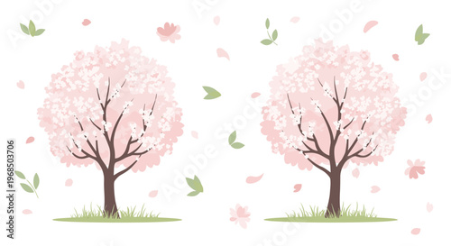 Elegant cherry blossom trees in full bloom with pink flowers and falling petals on a clean white background.