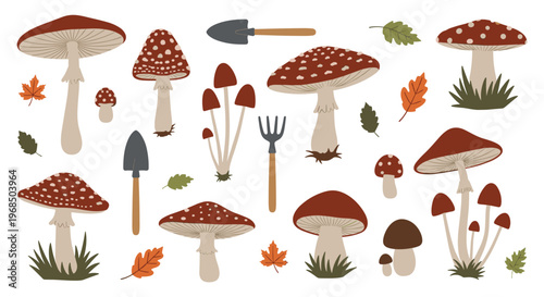 Garden and forest collection featuring various mushrooms types autumn leaves and small hand tools like a trowel.