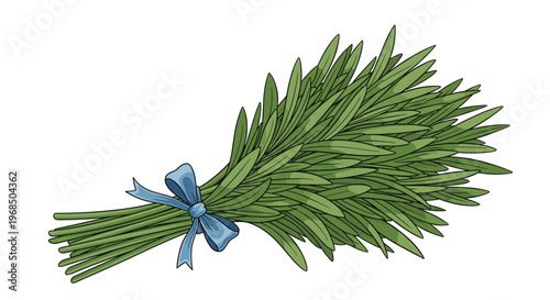 Fresh sprigs of rosemary herbs tied in a neat bundle with a blue ribbon bow represent a fragrant culinary ingredient for cooking and wellness.