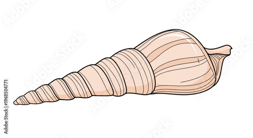 Detailed illustration of a long spiraling spindle seashell in soft pink and beige tones captures the delicate beauty of marine treasures.