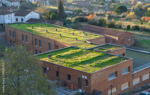 Environmental sustainability green roofs in public buildings