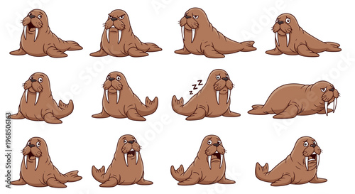 Cartoon walrus in various poses and expressions on white background  