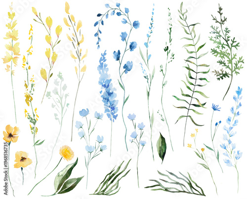 Watercolor yellow and blue wildflowers clipart, isolated illustration, botanical wedding stationery set