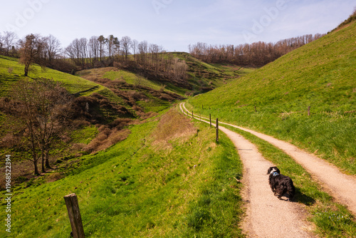 Promenade rurale sur les hauteurs escarpées du massif vosgien, Sainte-Marie-aux-Mines, CEA, Grand Est, France