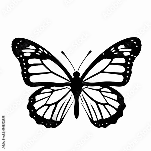 Elegant Black and White Flat Vector Illustration of a Single Butterfly with Intricate Symmetrical Wing Patterns, Minimalist Nature Graphic Isolated on White Background for Decorative Design