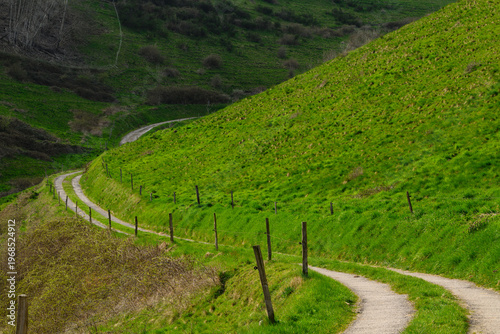 Chemin agricole serpentant à travers les pâturages d'altitude de Sainte-Marie-aux-Mines, CEA, Grand Est, France